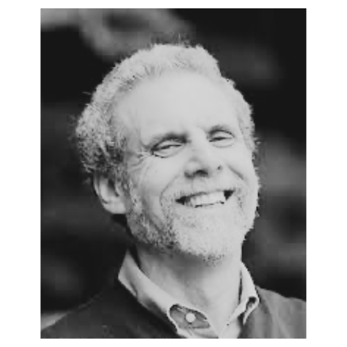 S-2 Daniel Goleman